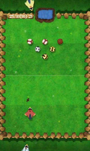 Les poulets se mettent au foot