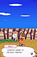 Animal Crossing : Wild World Nintendo DS