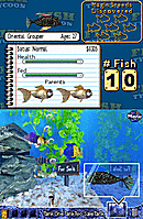 Fish Tycoon Nintendo DS