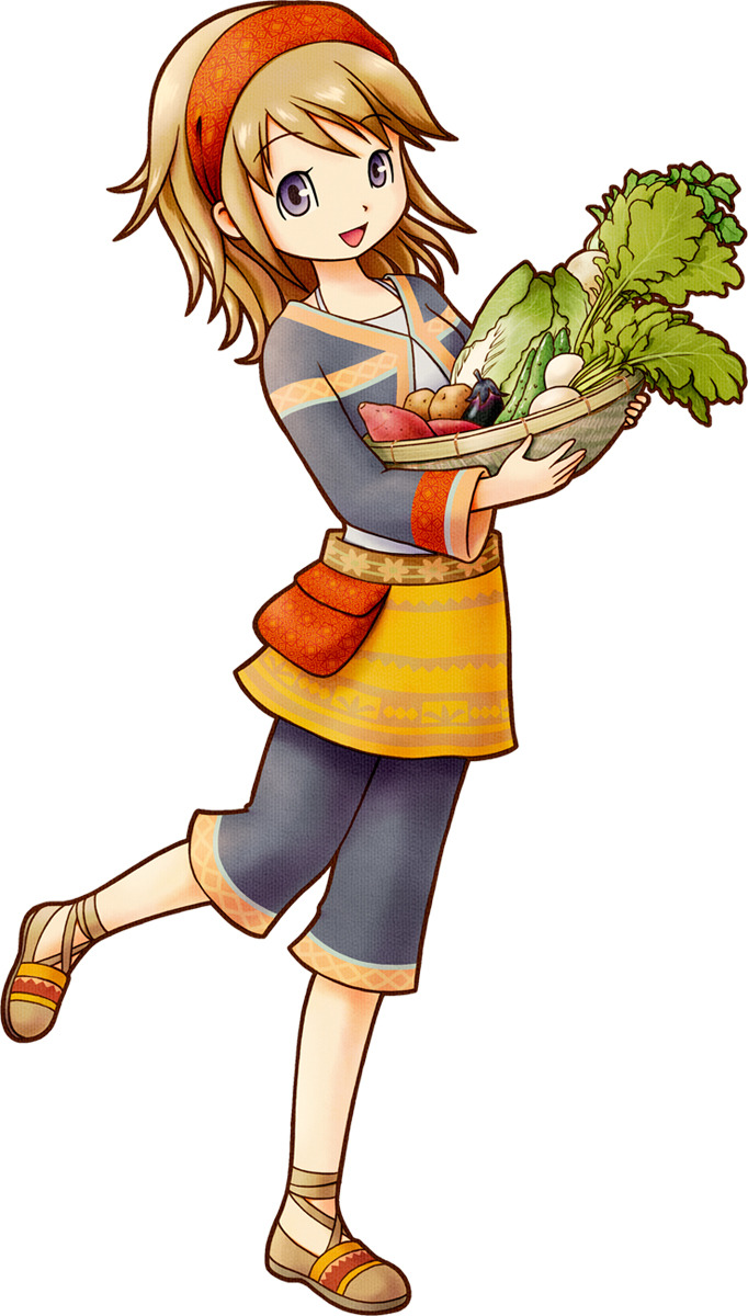 .com Harvest Moon : Les Deux Villages - Nintendo DS Image 51 sur 52