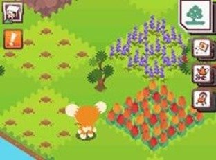 Images et vidéo de Livly Garden Images et vidéo de Livly Garden