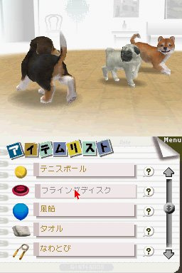 Nintendogs : Chihuahua and Friends jeux vidéo DS: prix à Nintendogs : Chihuahua and Friends jeux vidéo DS: prix à