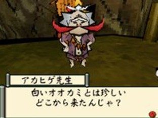 Images d'Okamiden sur DS
