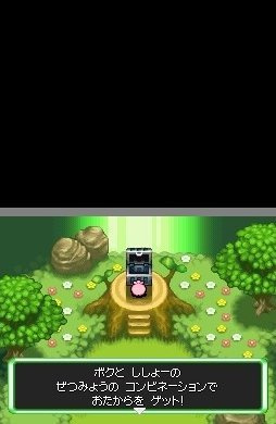 Pokémon : Explorateurs du Ciel Pokemon-donjon-mystere-explorateurs-du-ciel-nintendo-ds-025