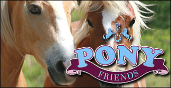 Pony Friends