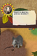 Safari Adventures : Afrique Nintendo DS