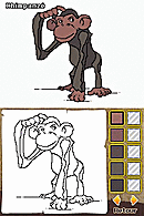 Safari Adventures : Afrique Nintendo DS