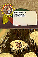 Safari Adventures : Afrique Nintendo DS