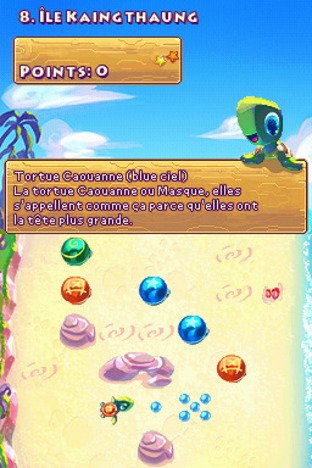 Save the Turtles annoncé sur DSiWare