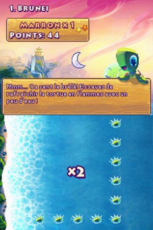 Save the Turtles annoncé sur DSiWare