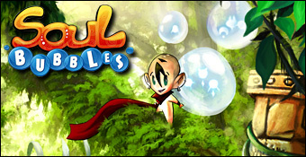 Nintendo DS - Les incontournables Sobuds00a