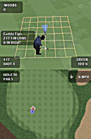 Tiger Woods PGA Tour Nintendo DS