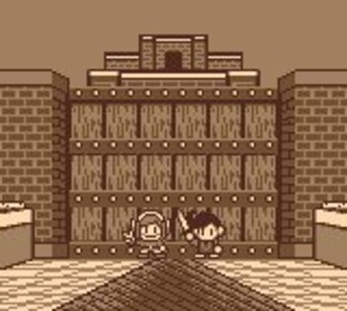 The Legend of Zelda : Link's Awakening DX G.BOY - Screenshot 82