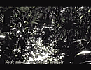Resident Evil 0 NGC - Screenshot 107