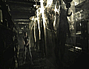 Resident Evil NGC - Screenshot 79