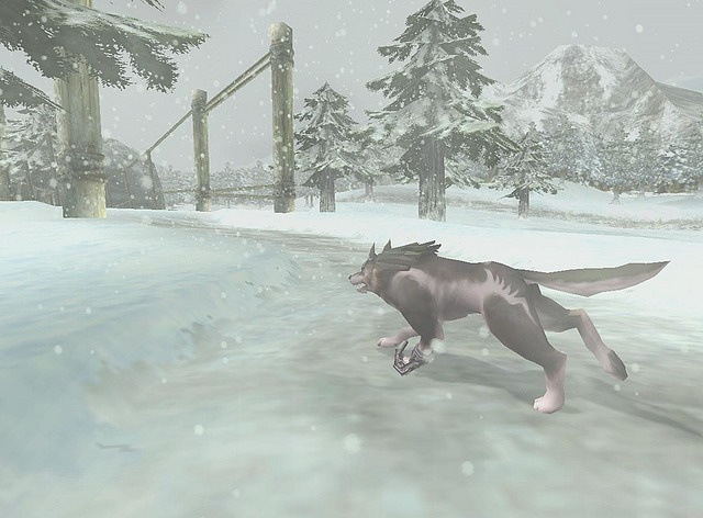 Images The Legend Of Zelda : Twilight Princess Gamecube