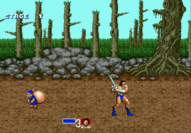 MEGADRIVE vs SUPER NINTENDO : Fight ! Goldmg013
