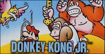 Donkey Kong Jr.