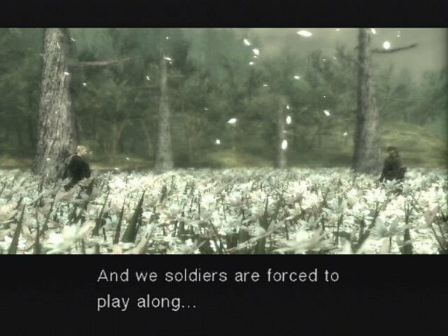 mgs3p2521.jpg