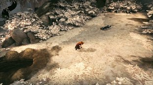 Brothers : A Tale of Two Sons PS3 - Screenshot 95