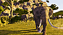 Cabela's Dangerous Hunts 2009[FR] [PS3] [FS]