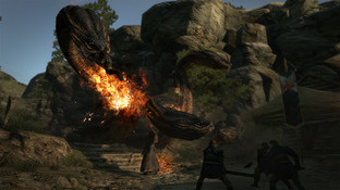Images de Dragon's Dogma