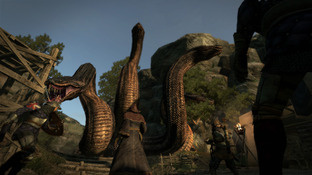 Images de Dragon's Dogma