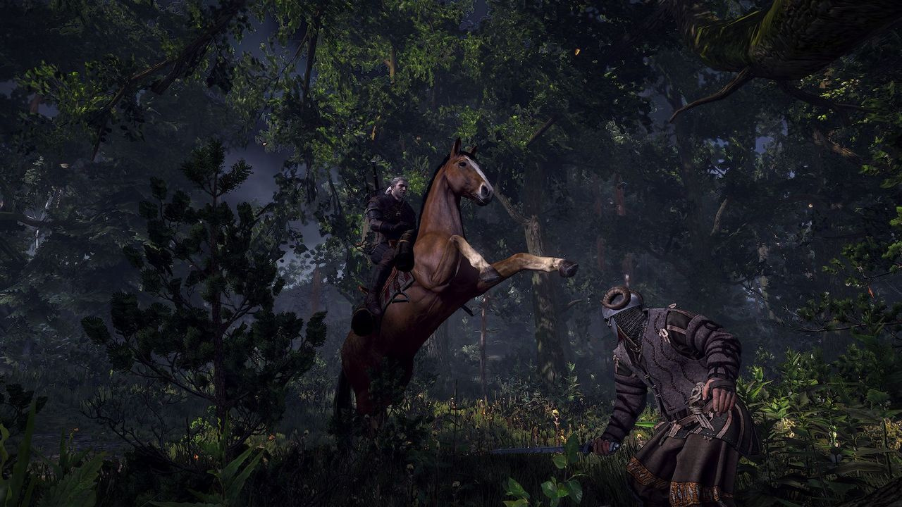 the-witcher-3-wild-hunt-playstation-4-ps