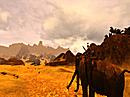 Aperçu Age Of Conan : Hyborian Adventures PC - Screenshot 323
