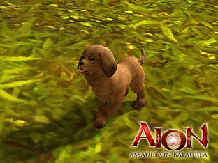 Les familiers de Aion : Assaut sur Balauréa