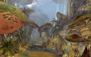 GC 2009 : Images de Aion