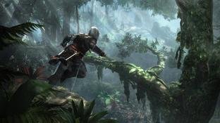 Assassin's Creed IV : Black Flag PC