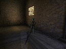 Catwoman  [Multilanguage] [PC] [FS] [US]