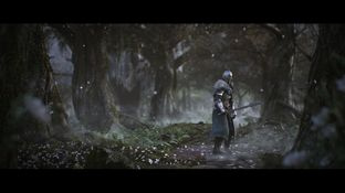 Dark Souls II PC