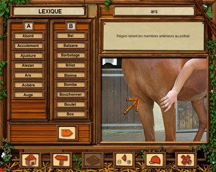 Fiche technique equitation