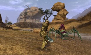 E3 2009 : Des images et des infos pour Heroes of Telara