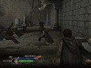 Test Le Seigneur Des Anneaux : Le Retour Du Roi PC - Screenshot 5