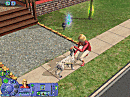 Les Sims : Histoires D'Animaux PC