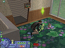 Les Sims 2 : Au Fil des Saisons PC