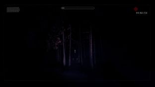 Test Slender : The Arrival PC - Screenshot 11