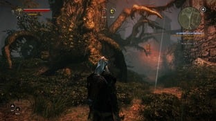 The Witcher 2 : Assassins of Kings PC