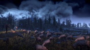 The Witcher 3 : Images et infos The Witcher 3 : Images et infos