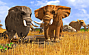 Wildlife Park 3-FLT PC | Megaupload Multi Lien