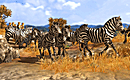Wildlife Park 3-FLT PC | Megaupload Multi Lien