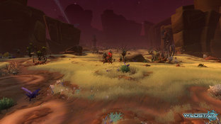 Wildstar : Maisons et nouvelles zones Wildstar : Maisons et nouvelles zones