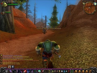 Test World of Warcraft PC - Screenshot 366
