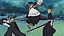bhs5pp060.gif