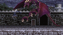 Images Castlevania : The Dracula X Chronicles Playstation Portable