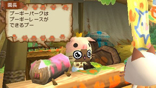 Images de Monster Hunter Nikki : PokaPoka Airu Village Images de Monster Hunter Nikki : PokaPoka Airu Village