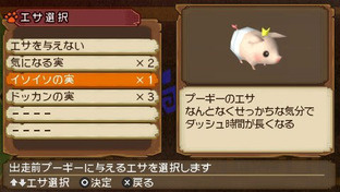 Images de Monster Hunter Nikki : PokaPoka Airu Village Images de Monster Hunter Nikki : PokaPoka Airu Village